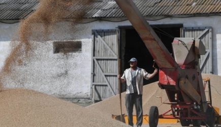 В МИД России назвали условия возобновления экспорта зерна из портов Украины