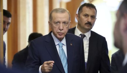 Эрдоган заявил о готовности Турции содействовать в переработке российского зерна