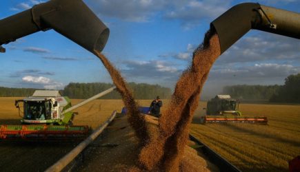 В США признали мировое лидерство России на рынке пшеницы