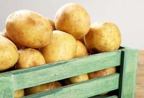 клади картофель. картофель в обуви. картофель для варки. пословицы про картофель. а.