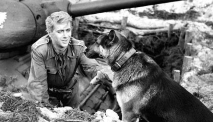 За что в СССР так любили фильм «4 танкиста и собака»: 10 причин