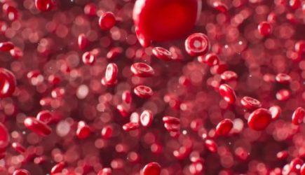 Ученые раскрыли любопытный факт о людях с самой редкой группой крови