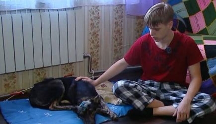 Российский школьник 5 км нес раненую собаку на руках до ветклиники, чтобы успеть ее спасти