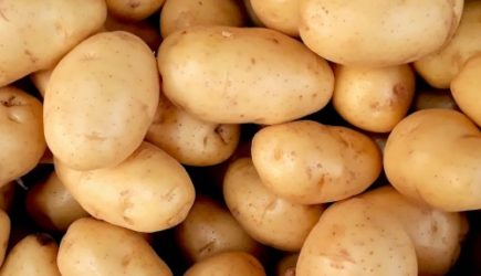 Это блюдо из картофеля обожают все — диетолог объяснила, как оно вредит мозгу